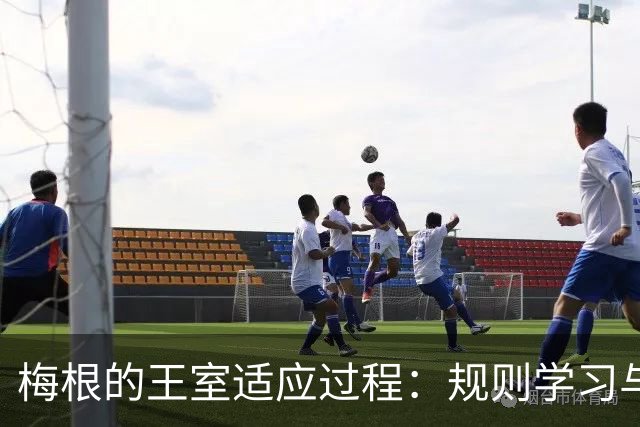 梅根的王室适应过程：规则学习与自主选择的平衡