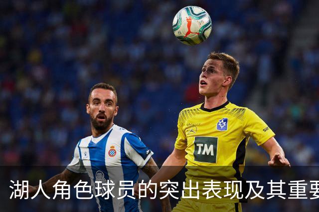 湖人角色球员的突出表现及其重要性分析
